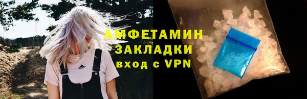 шишки Абаза