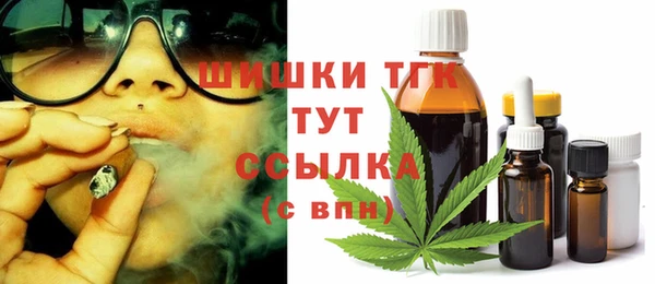 шишки Абаза