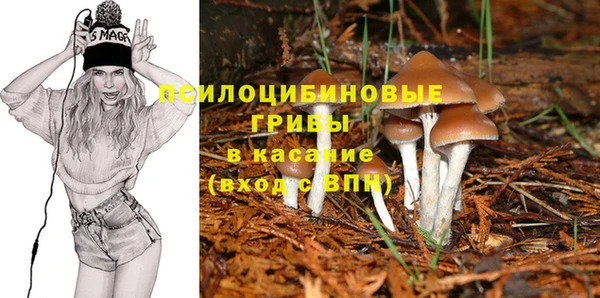 ECSTASY Красноперекопск