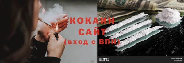шишки Абаза