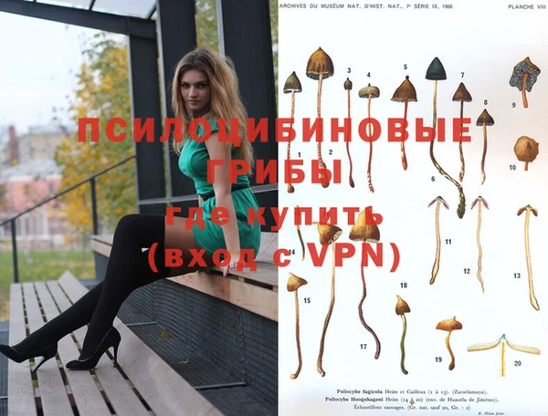 мдма Абдулино