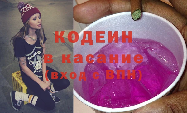 шишки Абаза