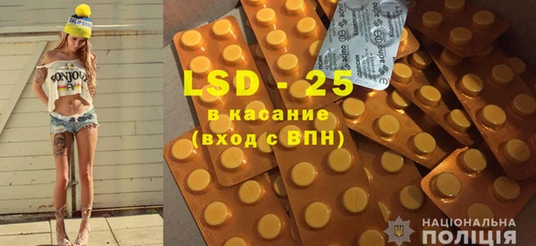шишки Абаза