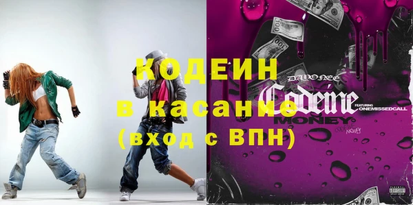 шишки Абаза