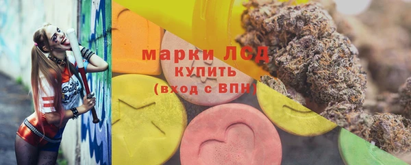 хмурый Алексин