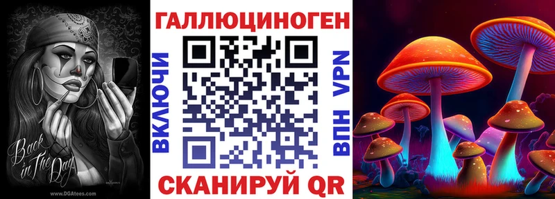 Галлюциногенные грибы MAGIC MUSHROOMS  mega маркетплейс  Челябинск  продажа наркотиков 